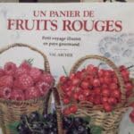 Un panier de fruits rouges