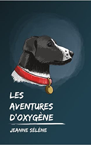 Les aventures d'Oxygène