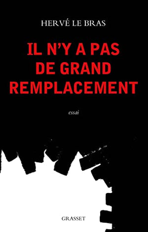 Il n'y a pas de grand remplacement