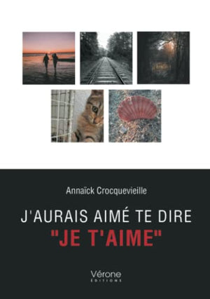 J'aurais aimé te dire je t'aime