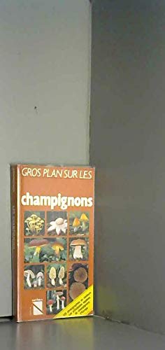 Gros plan sur les champignons