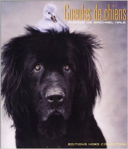 Gueules de chiens