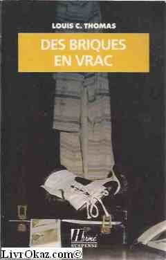 Des briques en vrac