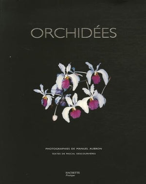 Orchidées