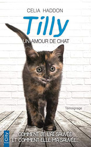 Tilly, le chat de l'amour