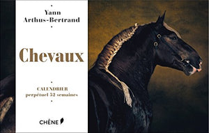 Calendrier 52 semaines Chevaux