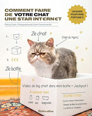 Comment faire de votre chat une star internet