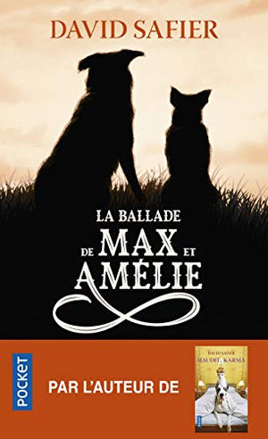 La ballade de Max et Amélie