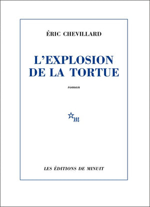 L'explosion de la tortue