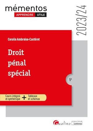 Droit pénal spécial