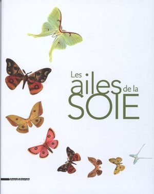 Les ailes de la soie