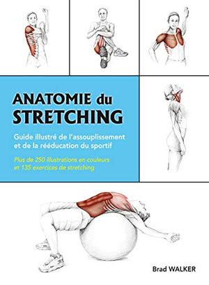 Anatomie du stretching