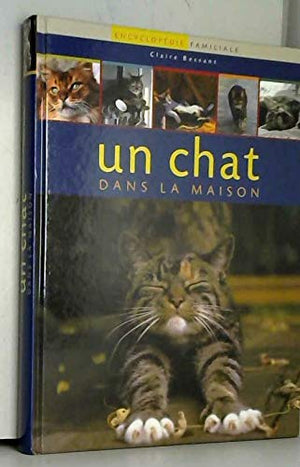 Un chat dans la maison