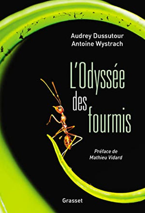 L'odyssée des fourmis