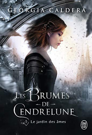 Les brumes de cendrelune