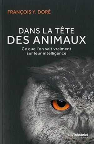 Dans la tête des animaux