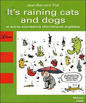 It's Raining Cats and Dogs: Et autres expressions idiomatiques anglaises