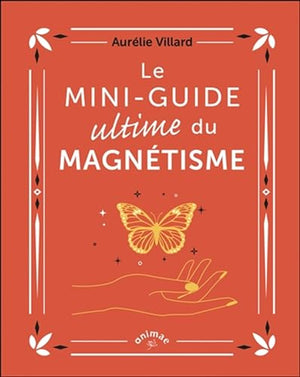 Le Mini-guide ultime du magnétisme