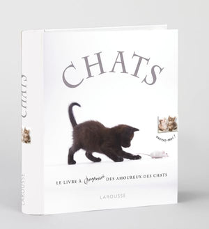 Chats