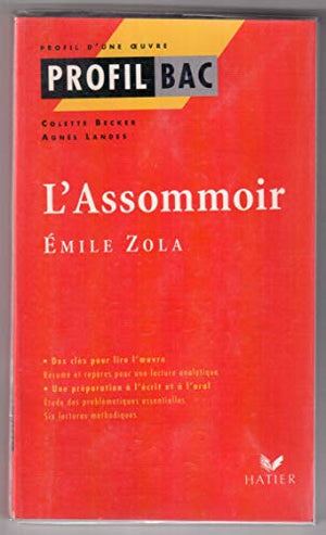 Profil d'une oeuvre : L'Assommoir