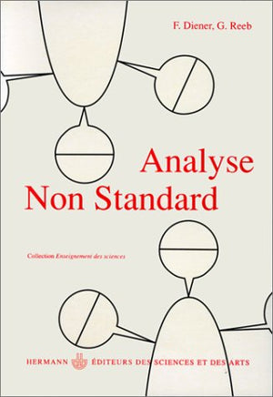 Analyse non standard