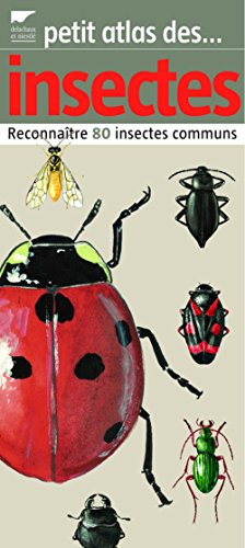 Petit atlas des insectes