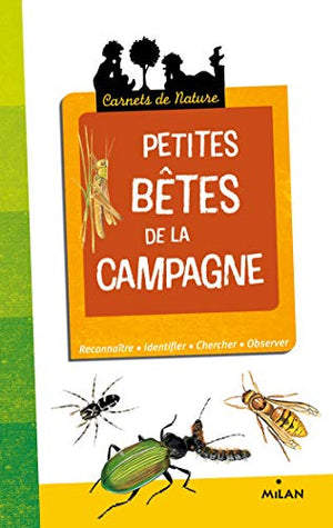 Petites bêtes de la campagne