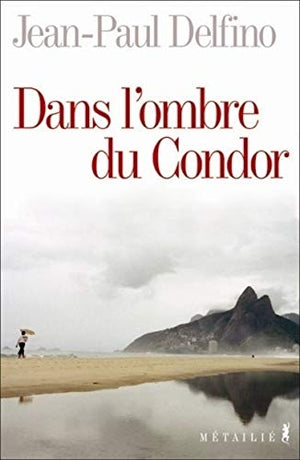 Dans l'ombre du Condor