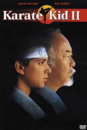 Karate kid 2