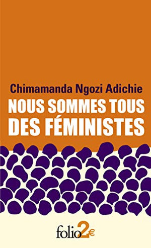 Nous sommes tous des féministes/Le danger de l’histoire unique