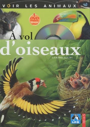 À vol d'oiseaux