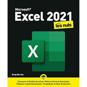 Excel 2021 pour les Nuls, grand format