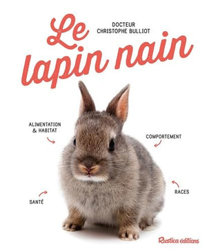 Le lapin nain