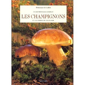 Les champignons et les termes de mycologie