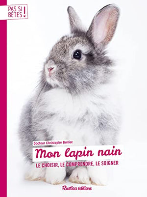 Mon lapin nain