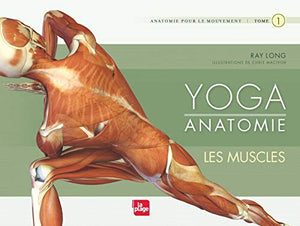 Yoga anatomie - Les muscles