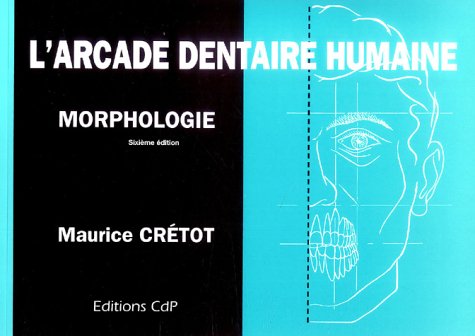 L'arcade dentaire humaine : Morphologie
