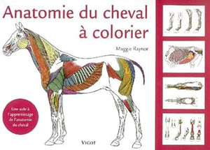 Anatomie du cheval à colorier