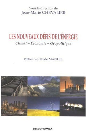 NOUVEAUX DEFIS DE L'ENERGIE  (LES)