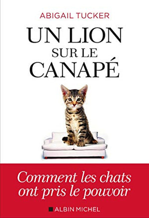 Un lion sur le canapé