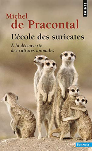 L'école des suricates