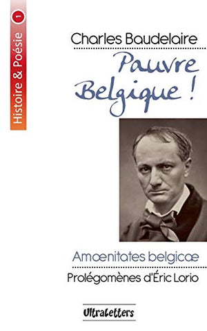 pauvre belgique amoenitates belgicæ