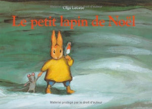 Le petit lapin de Noël