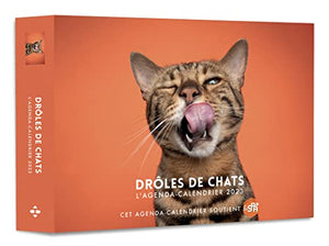 Agenda - Calendrier Drôles de chats 2023