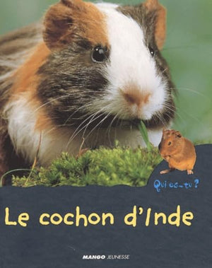 Le cochon d'Inde