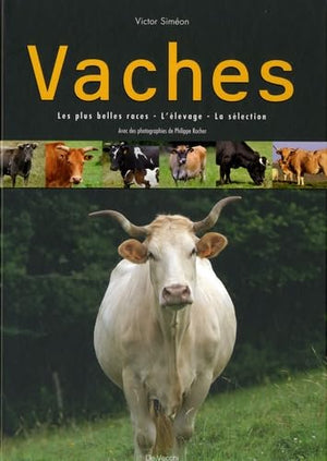 Vaches