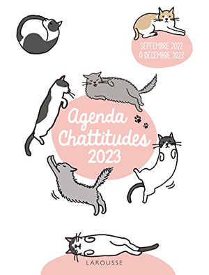 Agenda Chattitudes 2023