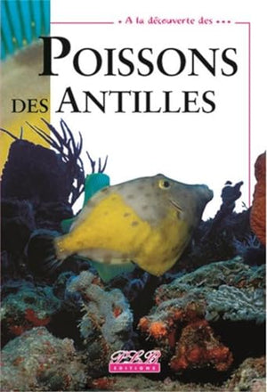 A la découverte des poissons des Antilles