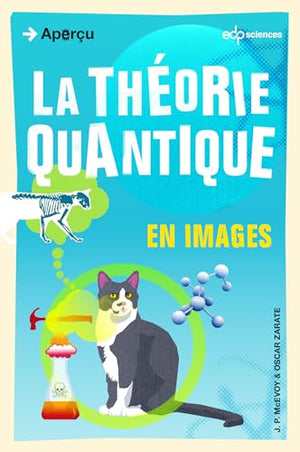 La théorie quantique en images