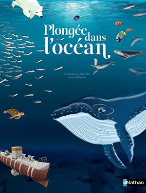 Plongée dans l'océan